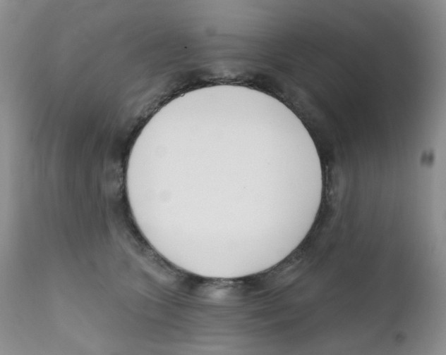X0000111610563200908141257