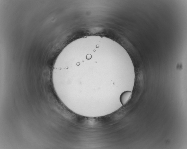 X0000111610565200908141257