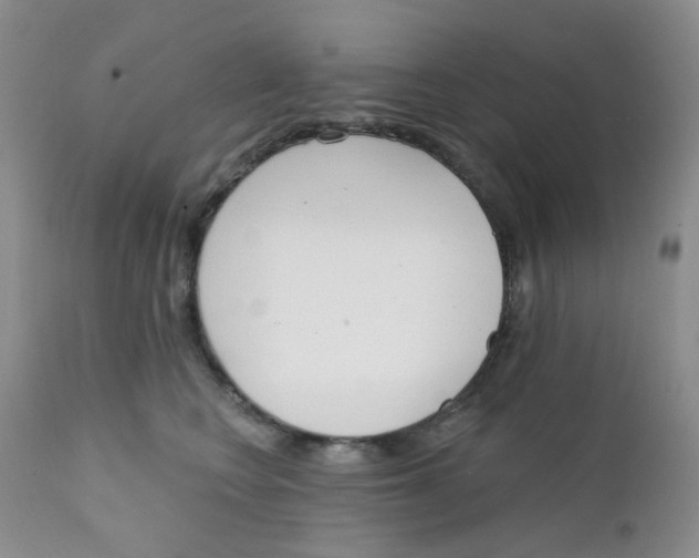 X0000111610566200908141257