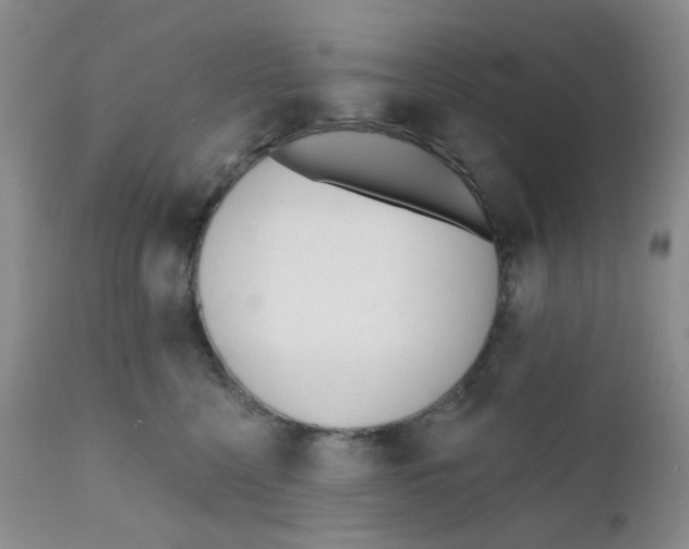 X0000111610568200908141257