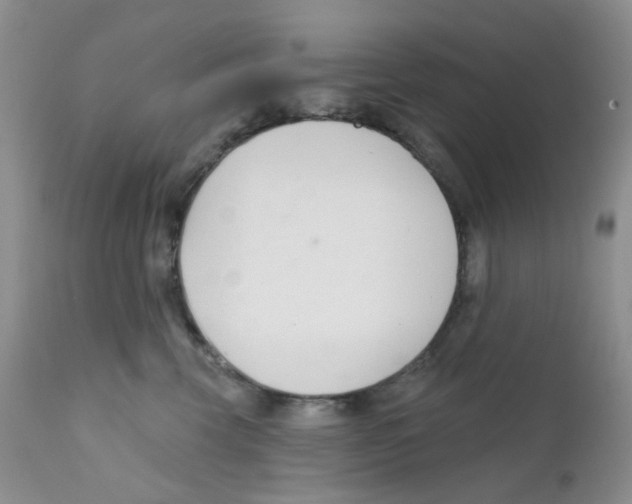 X0000111610569200908141257