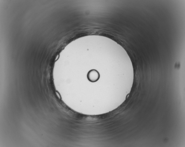 X0000111610570200908141257