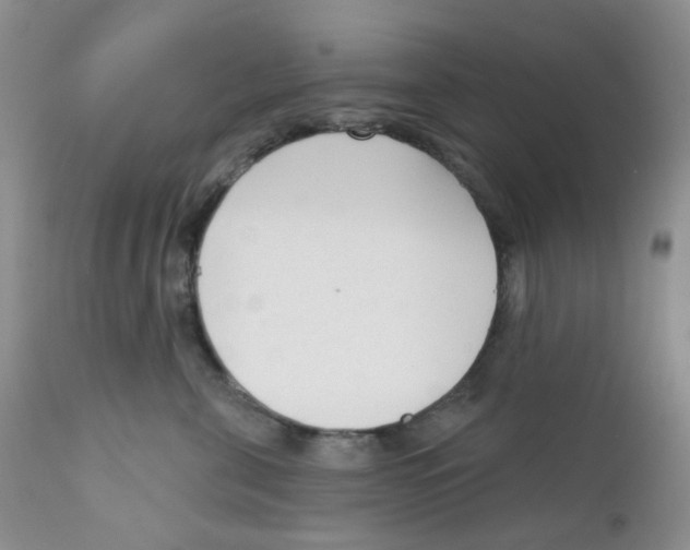 X0000111610571200908141257