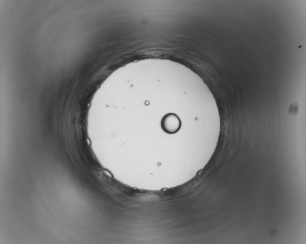 X0000111610572200908141257