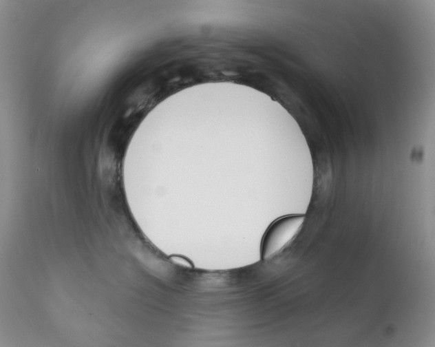 X0000111610574200908141257