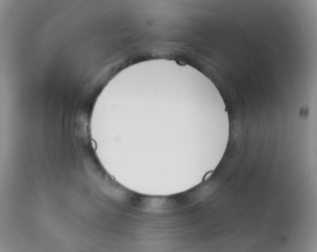X0000111610575200908141257