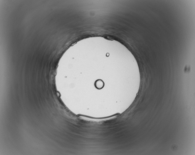 X0000111610576200908141257