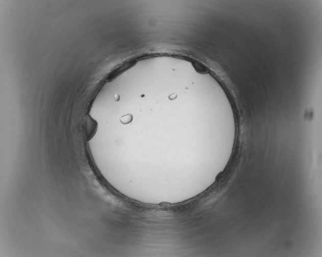X0000111610577200908141256