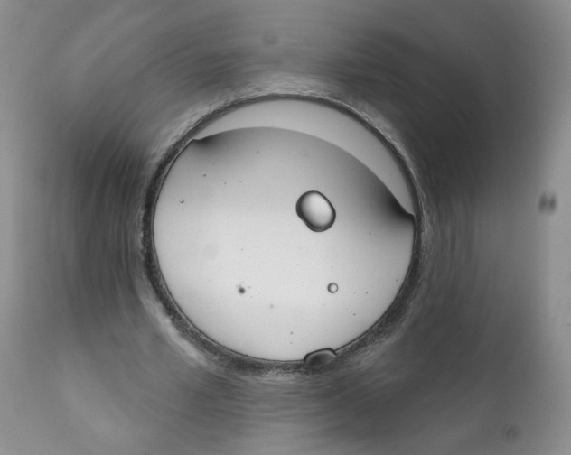 X0000111610581200908141256