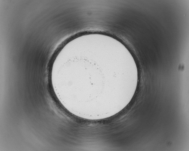 X0000111610584200908141256