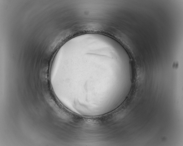 X0000111610585200908141256