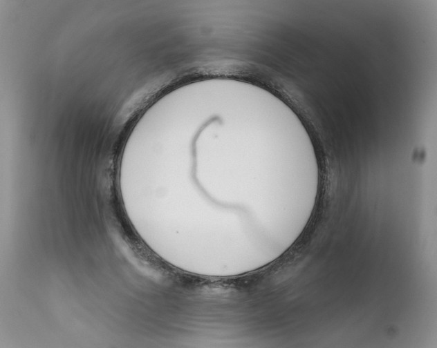 X0000111610586200908141256