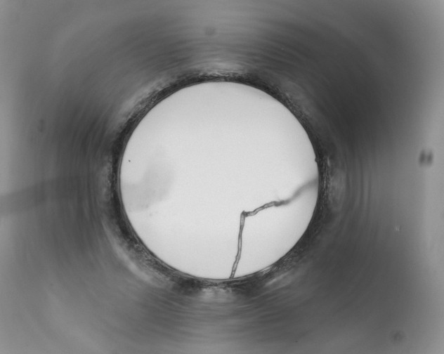 X0000111610591200908141255