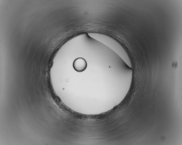 X0000111610593200908141255