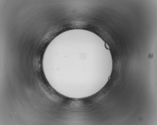 X0000111610599200908141255