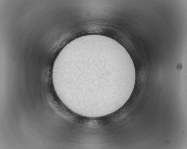 X0000111610600200908141255