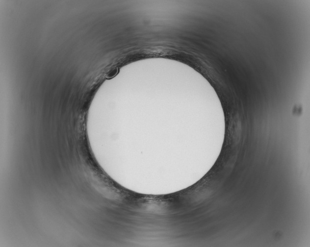X0000111610601200908141255