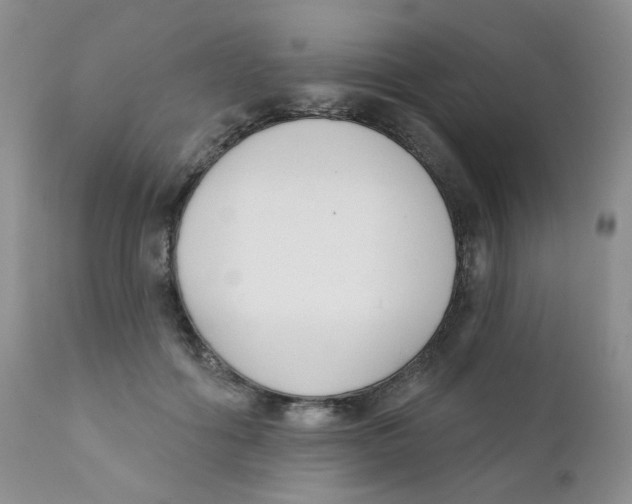 X0000111610602200908141255