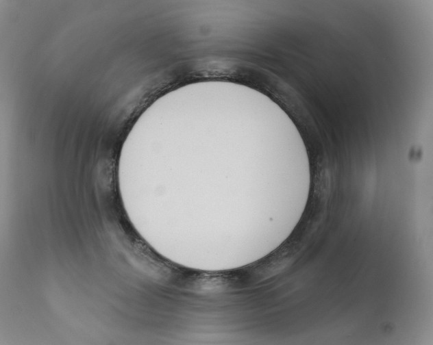 X0000111610604200908141255