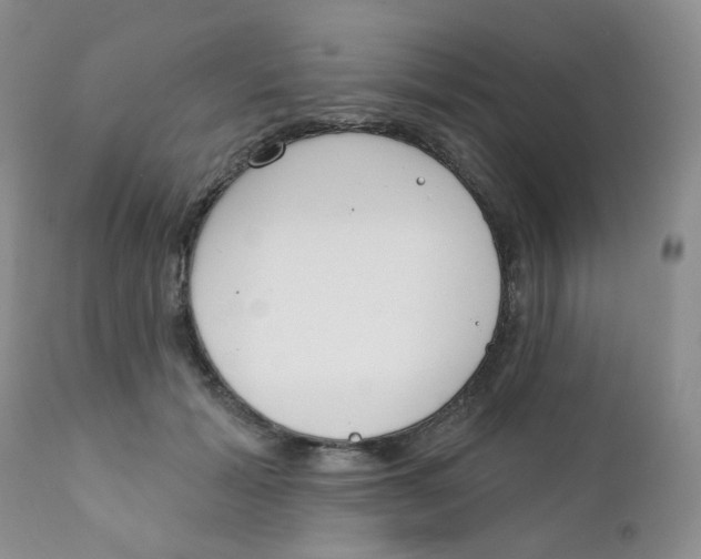 X0000111610605200908141255