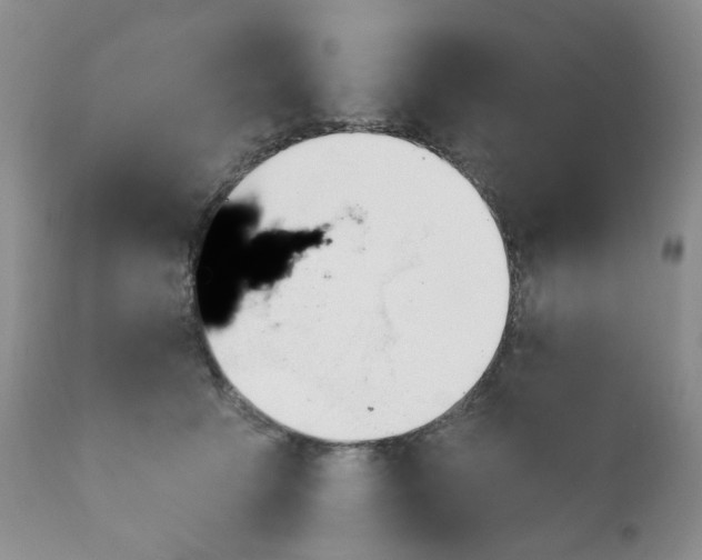 X0000111610609200908141255