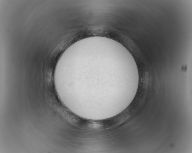 X0000111610610200908141255