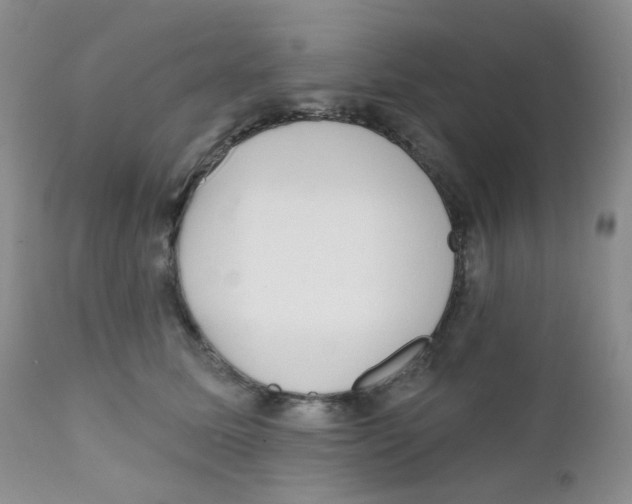 X0000111610611200908141255