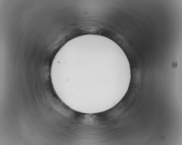 X0000111610612200908141255