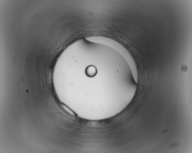 X0000111610613200908141255