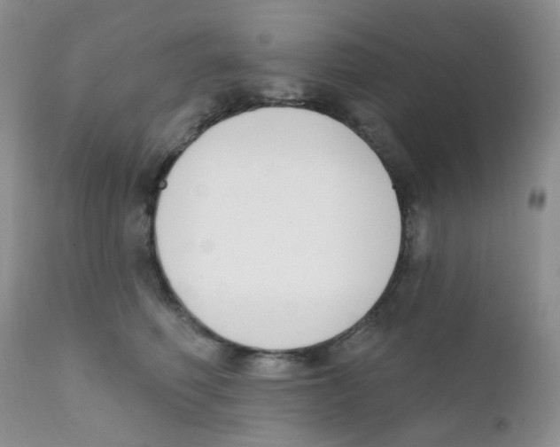 X0000111610614200908141255