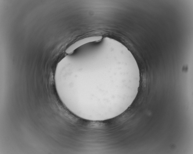 X0000111610617200908141255