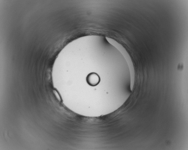 X0000111610621200908141255