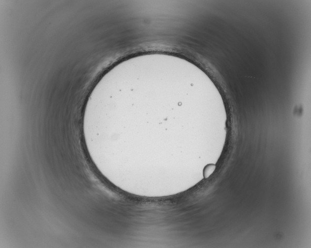 X0000111610625200908141254