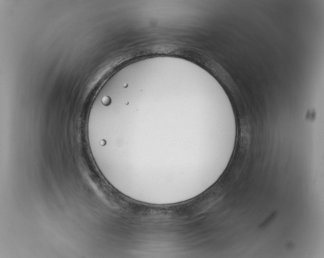 X0000111610626200908141254