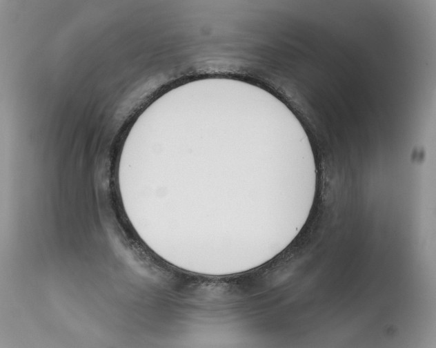 X0000111610631200908141254