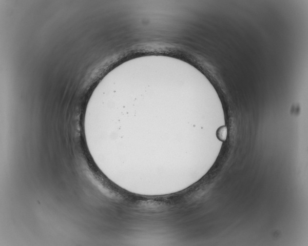 X0000111610633200908141254