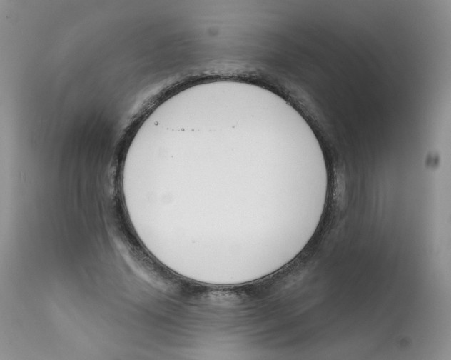 X0000111610636200908141254
