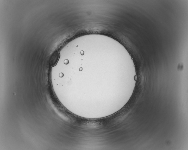 X0000111610638200908141254