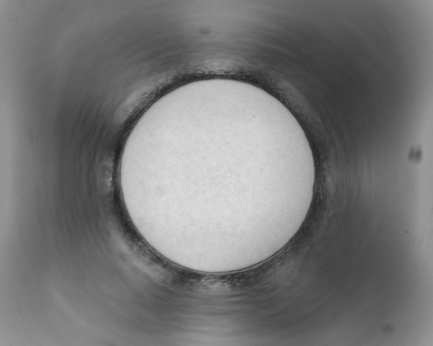 X0000111610640200908141254