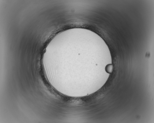 X0000111610642200908141254