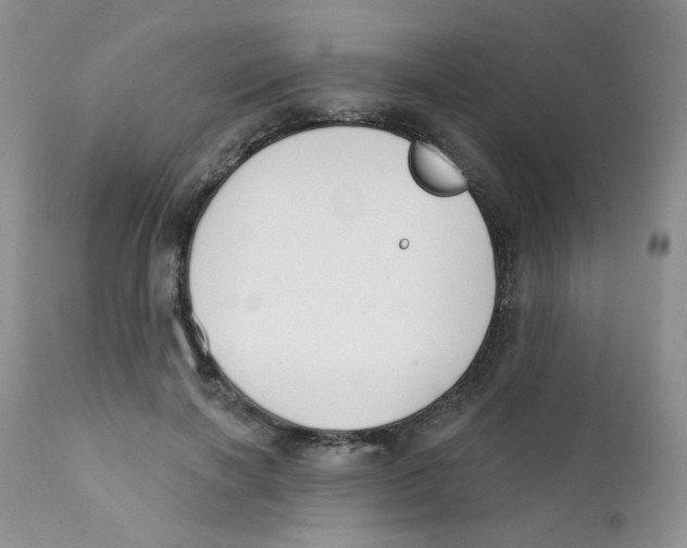 X0000111610646200908141254