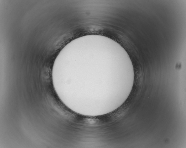 X0000111610654200908141254