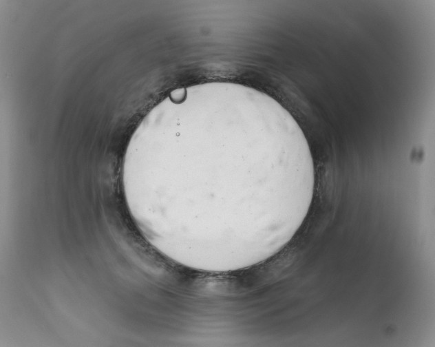 X0000111610655200908141254