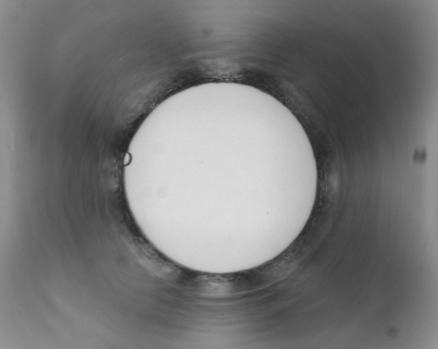 X0000111610658200908141254