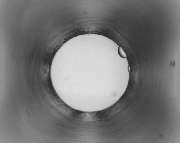 X0000111610660200908141255