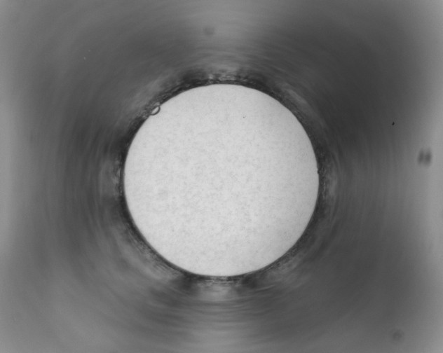 X0000111610661200908141255