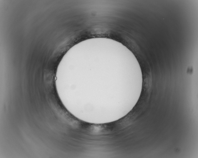 X0000111610662200908141255
