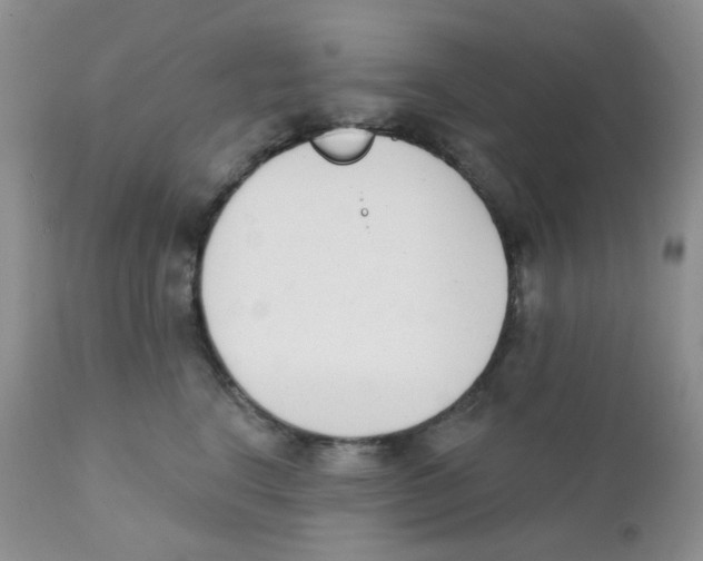 X0000111610664200908141255