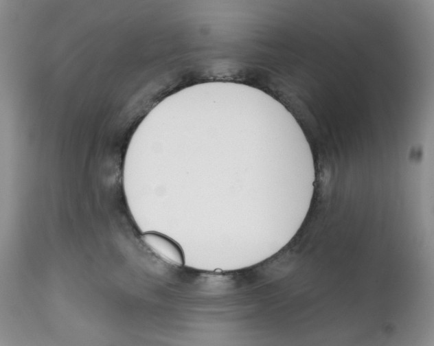 X0000111610665200908141255