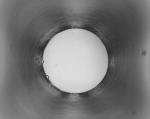 X0000111610666200908141255